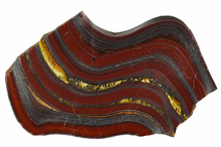 Polished Tiger Iron Stromatolite - Billion Years #129210